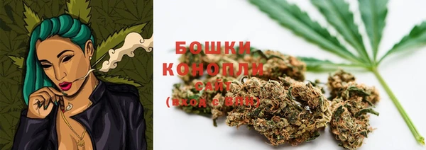 стаф Щучье