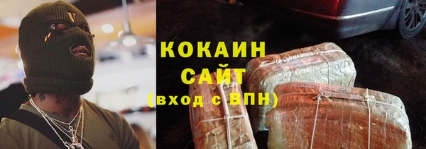 стаф Щучье