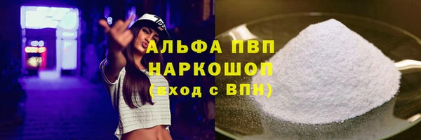 мдпв Инсар