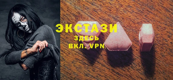 мдпв Инсар