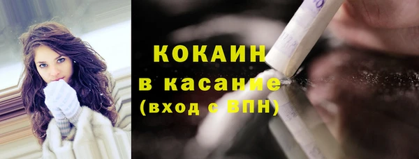 крисы Зеленодольск