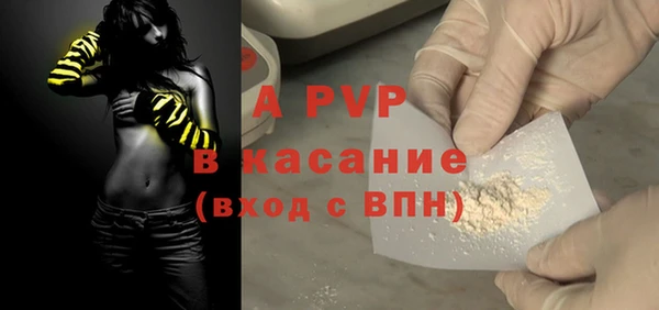 твердый Иннополис