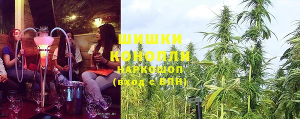 мдпв Инсар