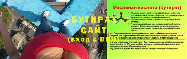 мдпв Инсар