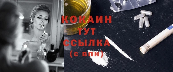 крисы Шали