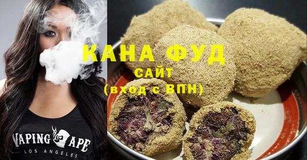 мдпв Инсар
